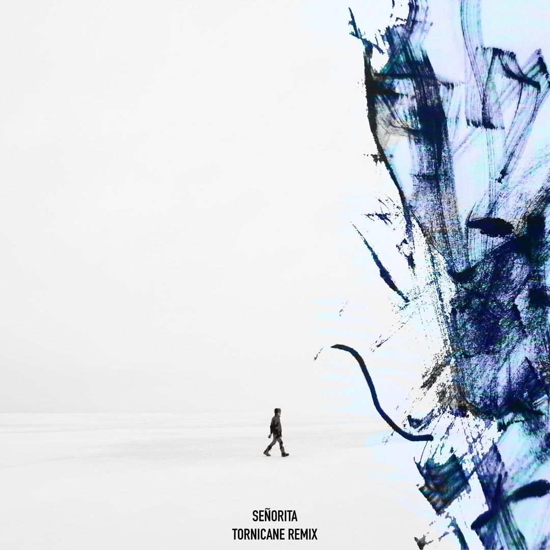 Señorita cover